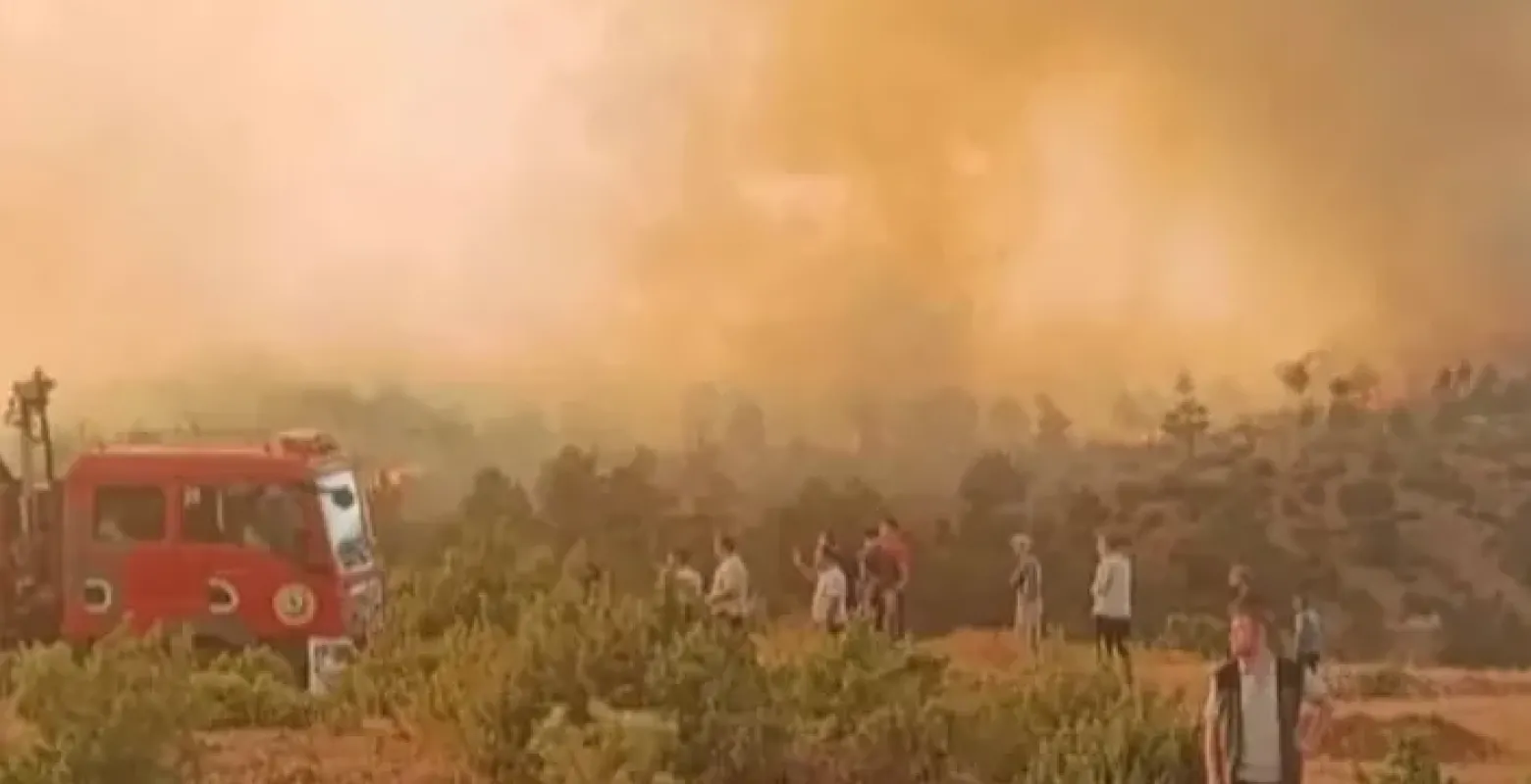 Orman Yangını Dumanı Hayatı Tehdit Ediyor